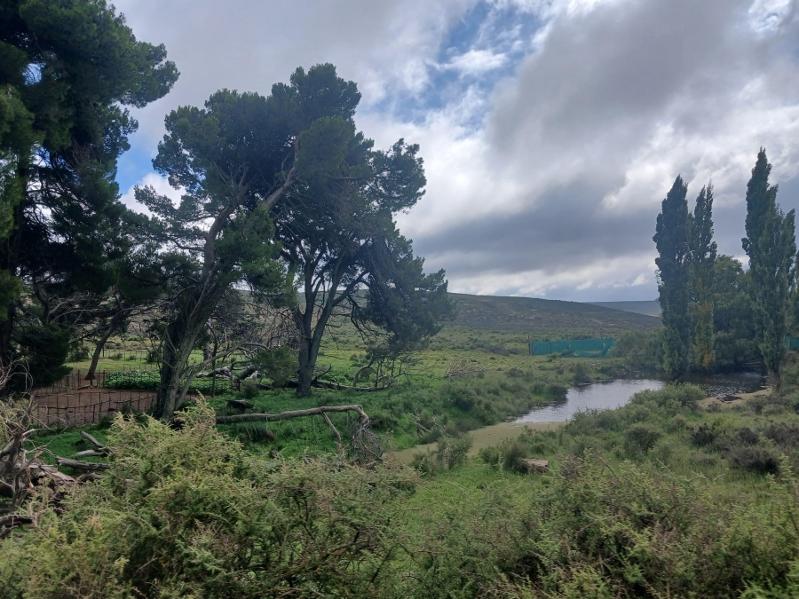 0 Bedroom Property for Sale in Richmond Rural Northern Cape